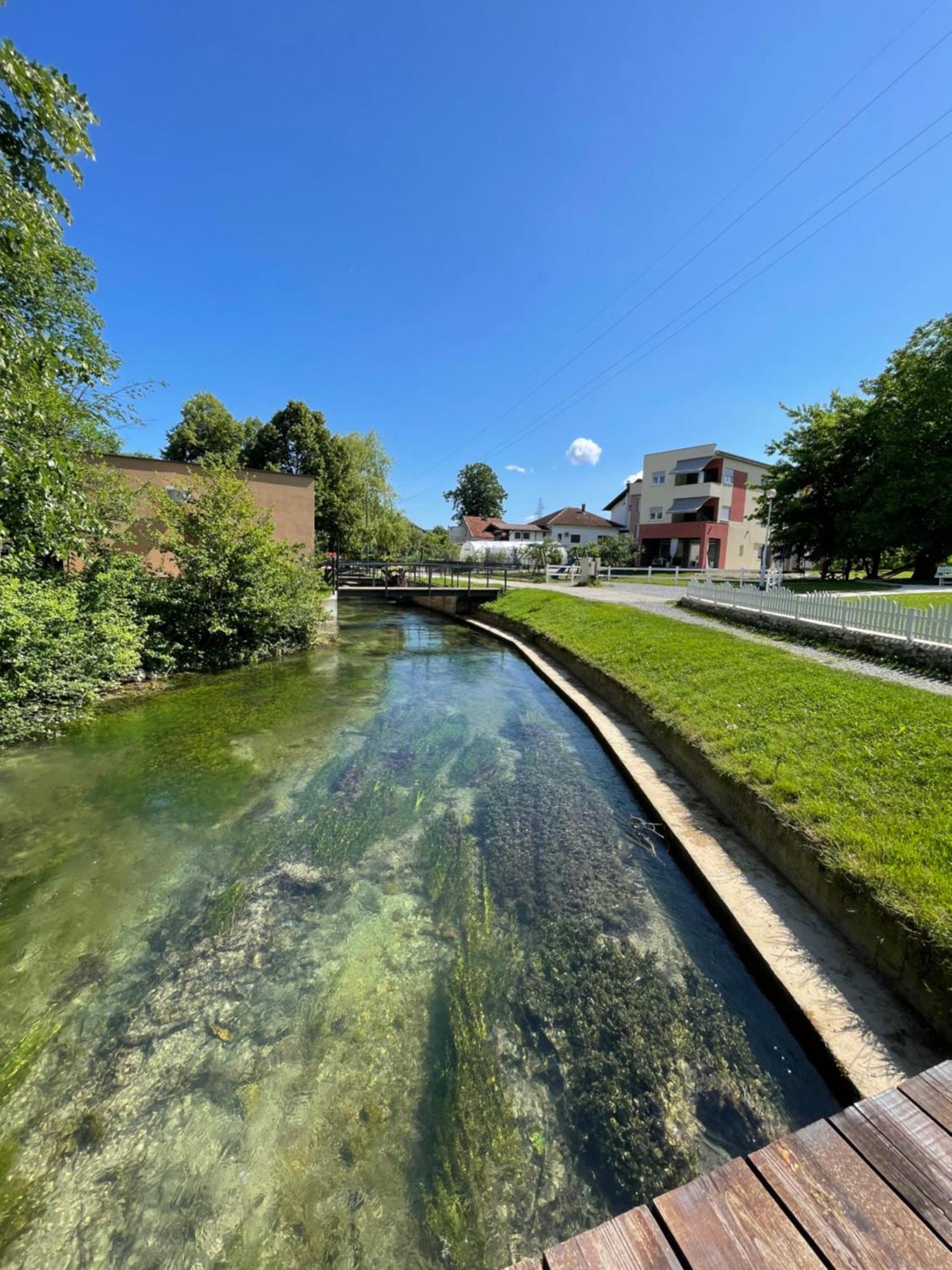 Bihać Apartment Vila Tara מראה חיצוני תמונה